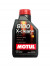 Масло мотор. MOTUL  8100 X-CLEAN+ 5W30  1л (1*12шт)